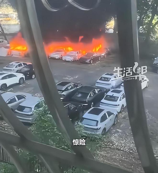 大连20辆新能源车被烧,现场画面流出,纵火者身份被扒,原因离谱(组图) - 17