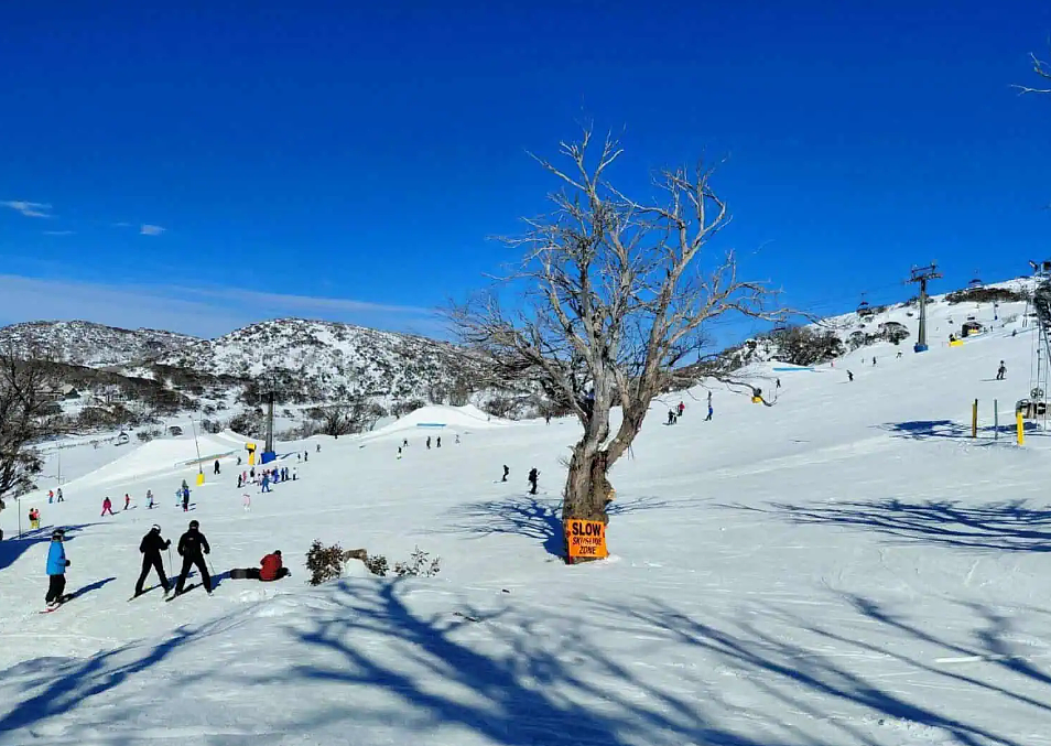 澳洲滑雪全攻略！热门雪场怎么选？装备怎么租？怎么玩更省钱？一文解析（组图） - 6