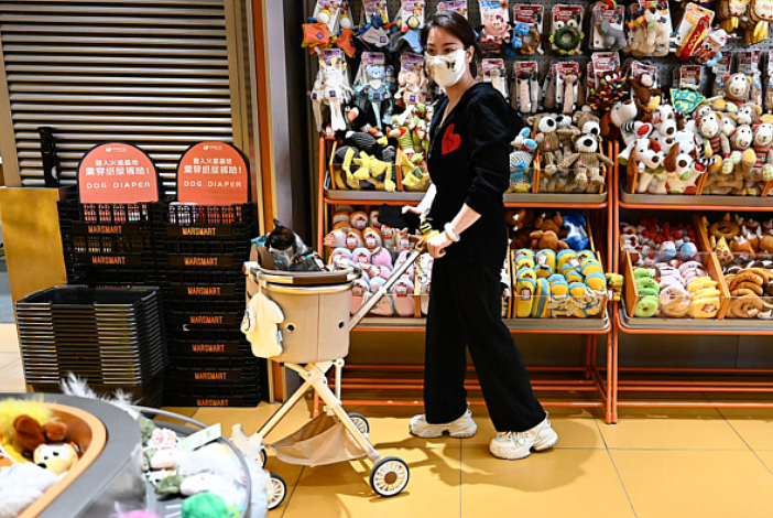 上海女子800元买猫，背上7000多元“猫贷”（图） - 1