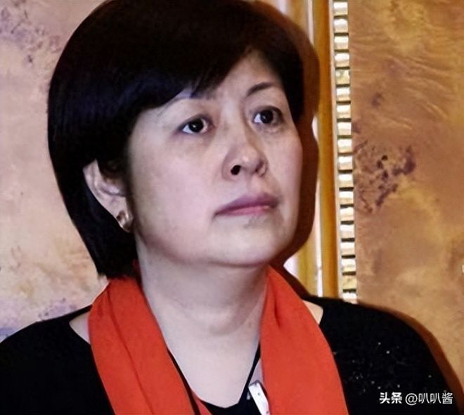 身价过百亿，坐拥北京一条街，出门私人飞机，京圈内的富婆都有谁 - 2