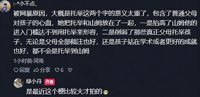 带孩子逛山姆是托举后续：遭网曝后道歉，全家被牵连，丈夫要算账（组图） - 9