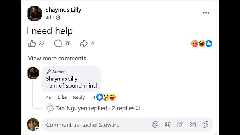 “我需要帮助，我想回澳洲！”西澳男子在越南餐馆大肆打砸，曾自称遭“黑帮”追踪（GIF/组图） - 3