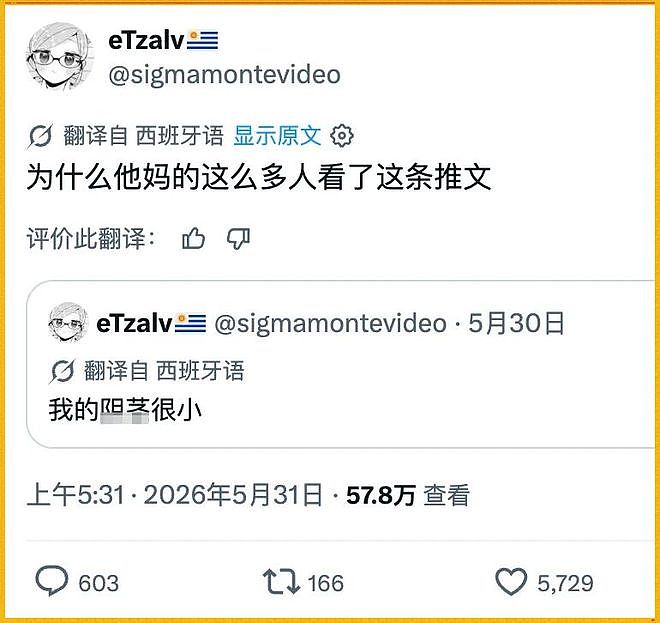 马斯克搞了个全语言自动翻译，X上的全球网友乱成了一锅粥（组图） - 19