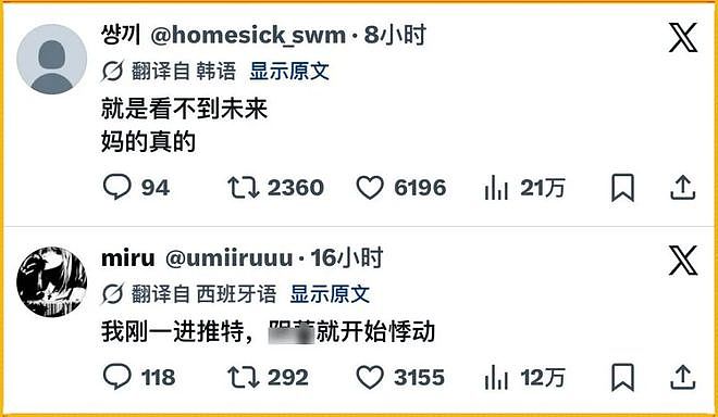 马斯克搞了个全语言自动翻译，X上的全球网友乱成了一锅粥（组图） - 22