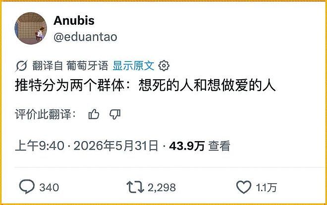 马斯克搞了个全语言自动翻译，X上的全球网友乱成了一锅粥（组图） - 23