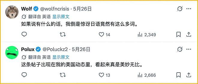 马斯克搞了个全语言自动翻译，X上的全球网友乱成了一锅粥（组图） - 35