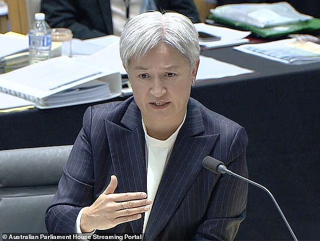 澳洲亲巴活动家控诉被以军强奸，外长黄英贤要求透明调查（组图） - 3