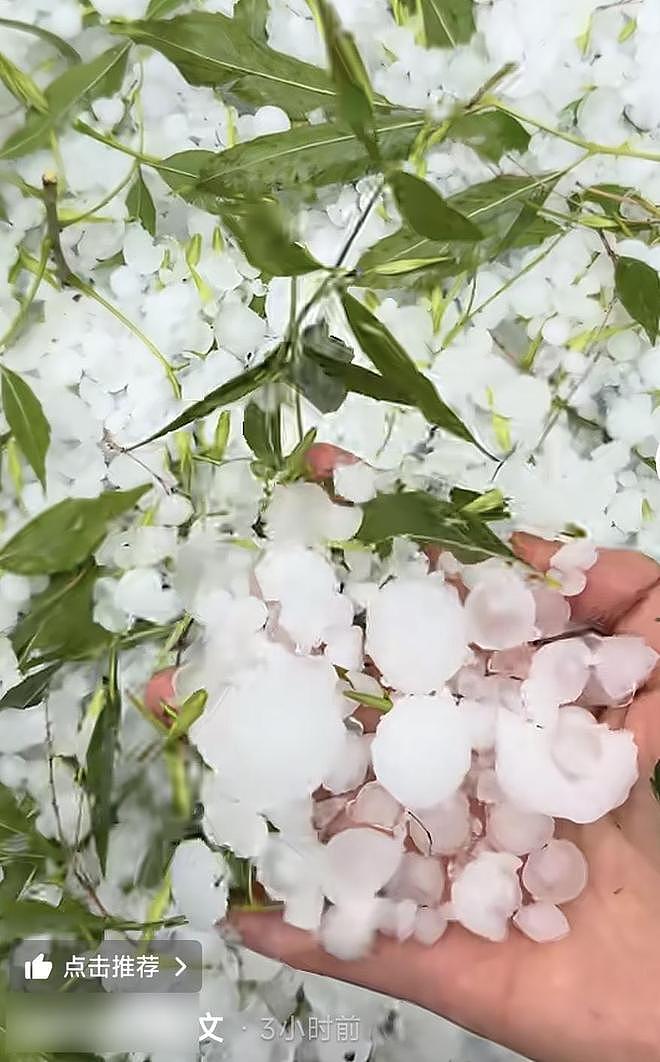 河北突降冰雹近半小时，街面似被冰雪覆盖，当地居民：活了四十年头一次见（组图） - 3