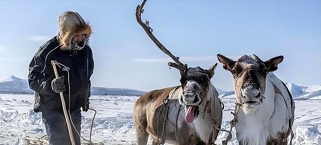 面积比印度还大，遍地是钻石，人口不足100万，该国为何不生娃？（组图） - 5