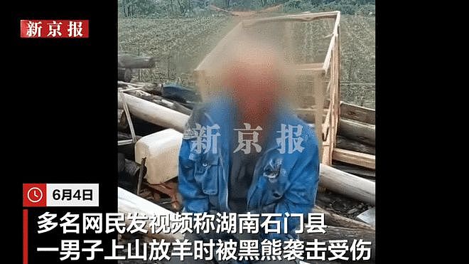 湖南一男子放羊时遭黑熊袭击,一根手指被咬断,当地回应(组图) - 1