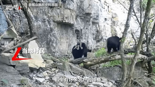 湖南一男子放羊时遭黑熊袭击,一根手指被咬断,当地回应(组图) - 2