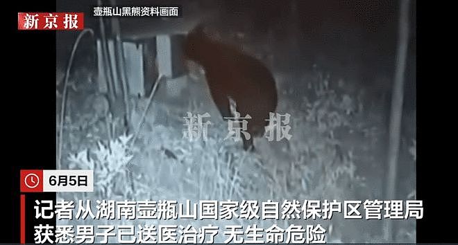 湖南一男子放羊时遭黑熊袭击,一根手指被咬断,当地回应(组图) - 3