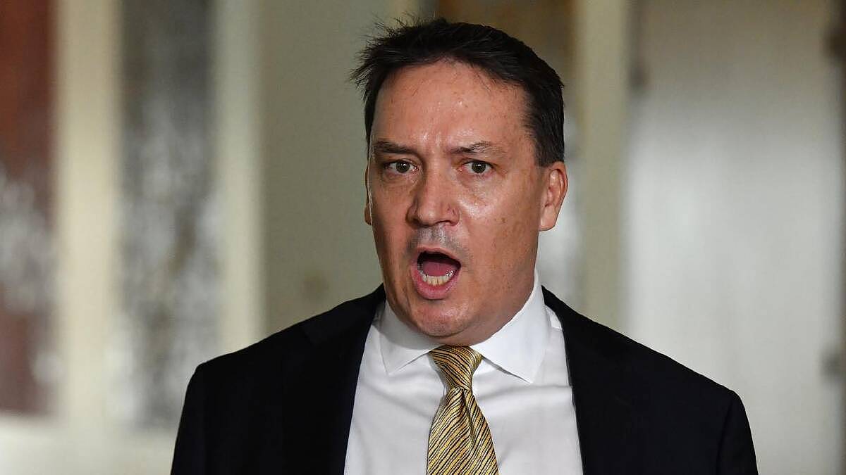 一国党力挺反堕胎运动，议员要求禁止选择性别堕胎！矛头直指华人社区（组图） - 5