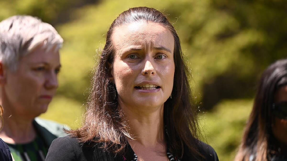 一国党力挺反堕胎运动，议员要求禁止选择性别堕胎！矛头直指华人社区（组图） - 6