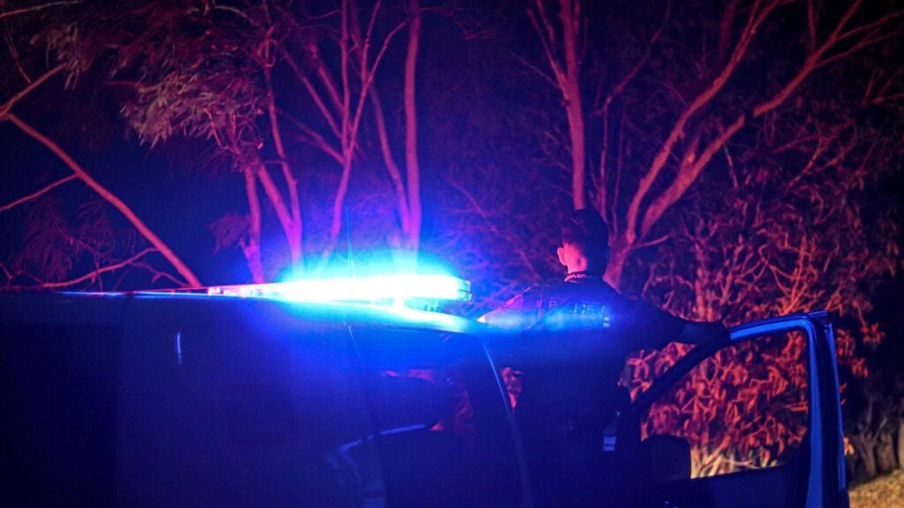 4名少年在澳华人区偷车狂飙，遭警方拦停！最小嫌犯年仅11岁（图） - 1