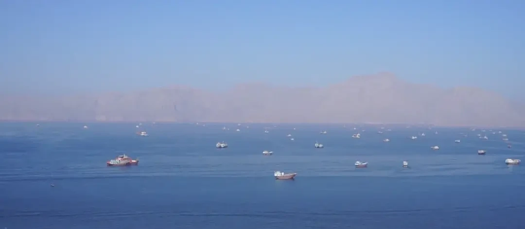 实拍霍尔木兹海峡现状：滞留船只密密麻麻 - 5