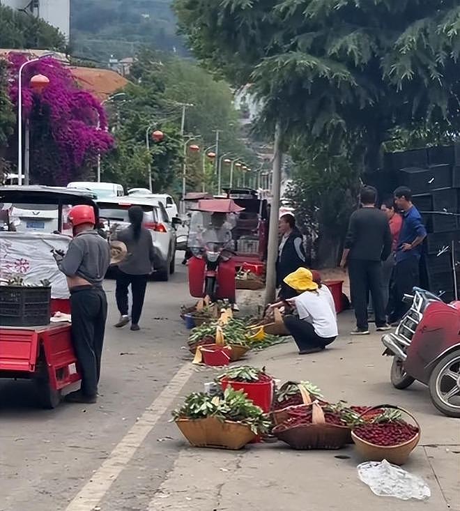人民网暗访,毒杨梅仍发往全国!商家手段歹毒,有溯源码也防不住(组图) - 7