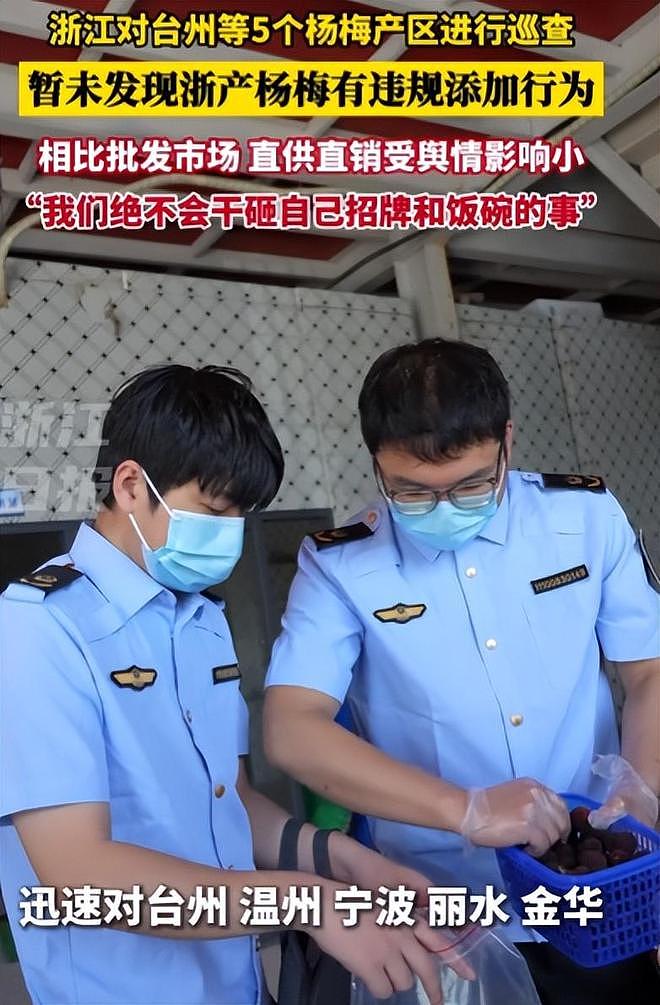 人民网暗访,毒杨梅仍发往全国!商家手段歹毒,有溯源码也防不住(组图) - 8