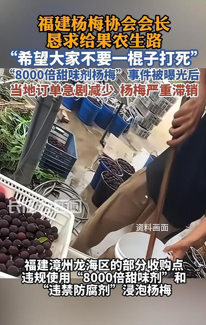 人民网暗访,毒杨梅仍发往全国!商家手段歹毒,有溯源码也防不住(组图) - 10