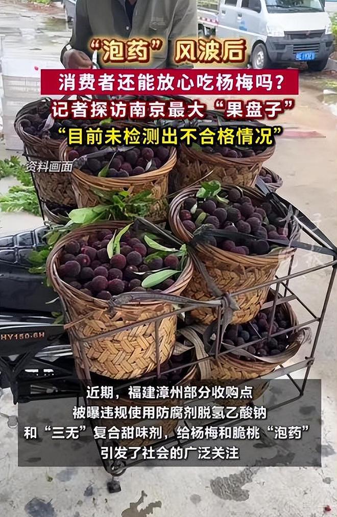 人民网暗访,毒杨梅仍发往全国!商家手段歹毒,有溯源码也防不住(组图) - 12