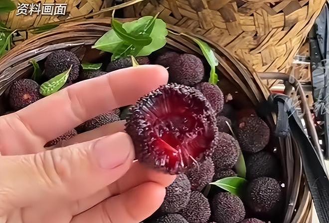 人民网暗访,毒杨梅仍发往全国!商家手段歹毒,有溯源码也防不住(组图) - 13