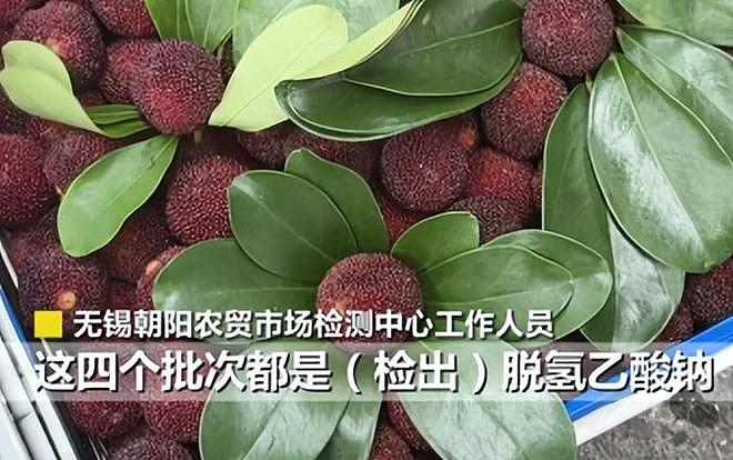 人民网暗访,毒杨梅仍发往全国!商家手段歹毒,有溯源码也防不住(组图) - 15