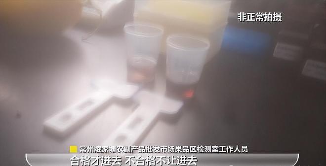 人民网暗访,毒杨梅仍发往全国!商家手段歹毒,有溯源码也防不住(组图) - 16
