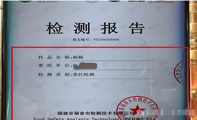 人民网暗访,毒杨梅仍发往全国!商家手段歹毒,有溯源码也防不住(组图) - 19