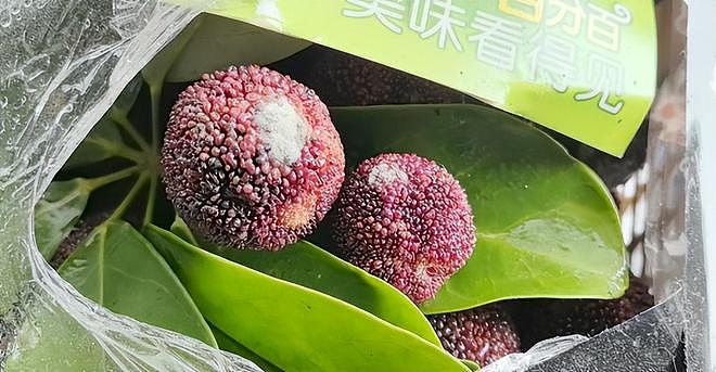 人民网暗访,毒杨梅仍发往全国!商家手段歹毒,有溯源码也防不住(组图) - 20