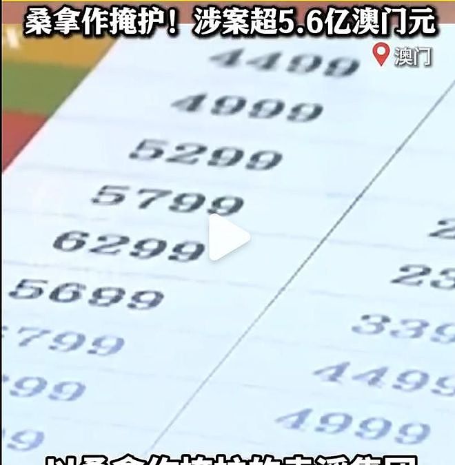 澳门特大卖淫案浮出水面，抓捕近400人，背后“靠山”不简单（组图） - 19