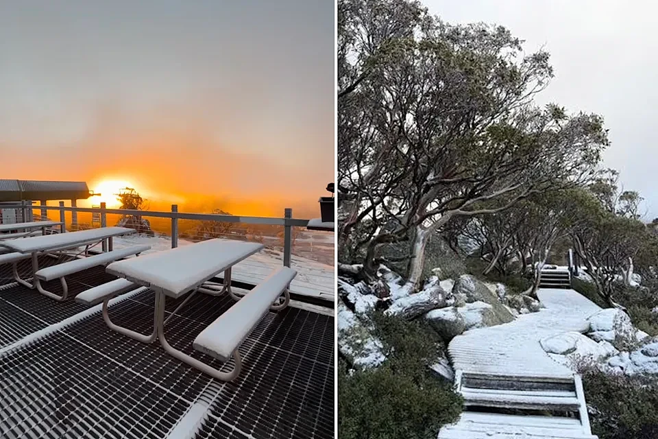 悉尼女子驱车数小时赴Thredbo滑雪，现场却只有满地泥浆（组图） - 2