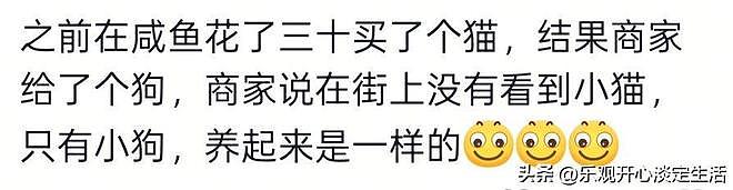 为什么说闲鱼是中国最大的黑市？网友:我直接给跪了！（组图） - 4