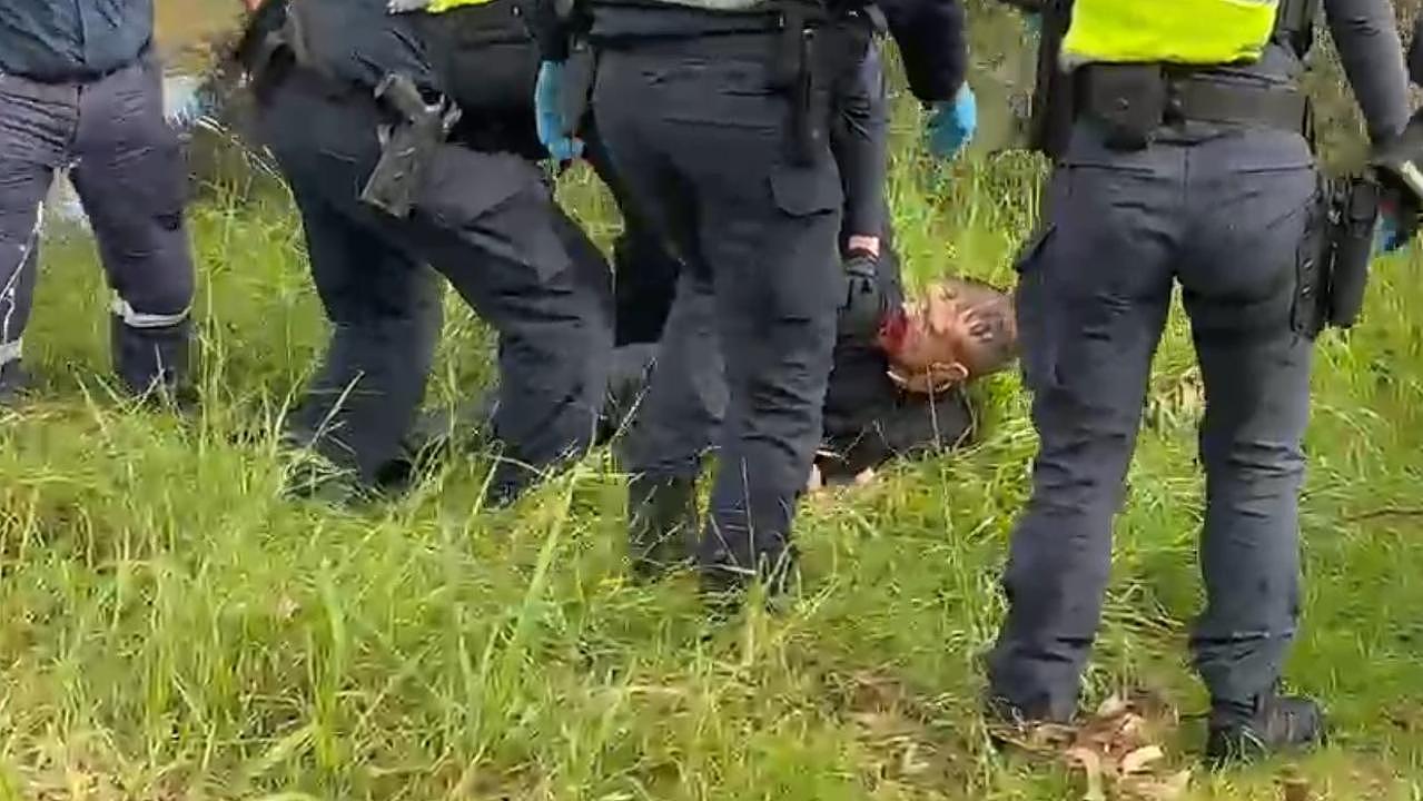 澳男街头狂奔浑身是血！企图劫车并跳河，已被警方逮捕（组图） - 2