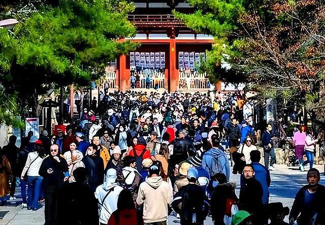 警报拉响！日本排华彻底失控，街头齐喊滚出日本！华人危险了？（组图） - 4