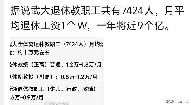 网传武汉大学7000多退休职工,月均领10000,每年需9亿社保供应…(组图) - 1