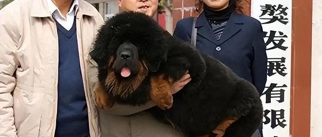 跌落神坛的8大热门藏品,当年一件抵北京一套房,你买过几种? - 3