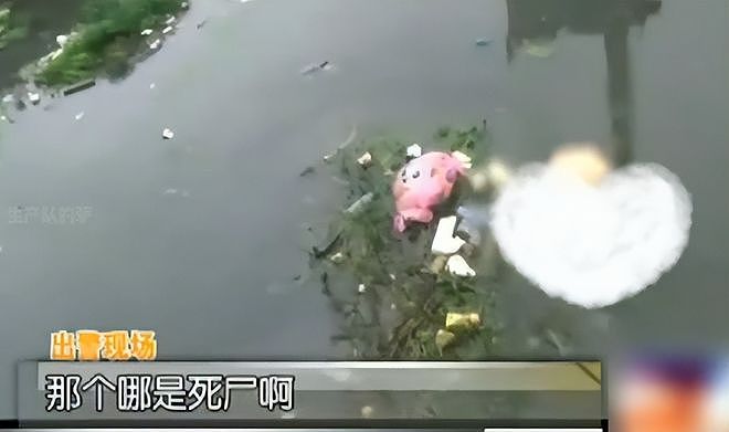 14年怪大叔资助女大学生，求婚未果女孩惨死：“心灰”被塞进娃娃 - 4