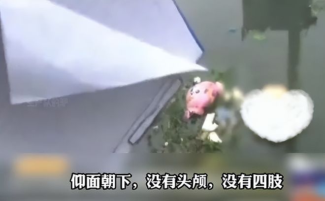 14年怪大叔资助女大学生，求婚未果女孩惨死：“心灰”被塞进娃娃 - 6