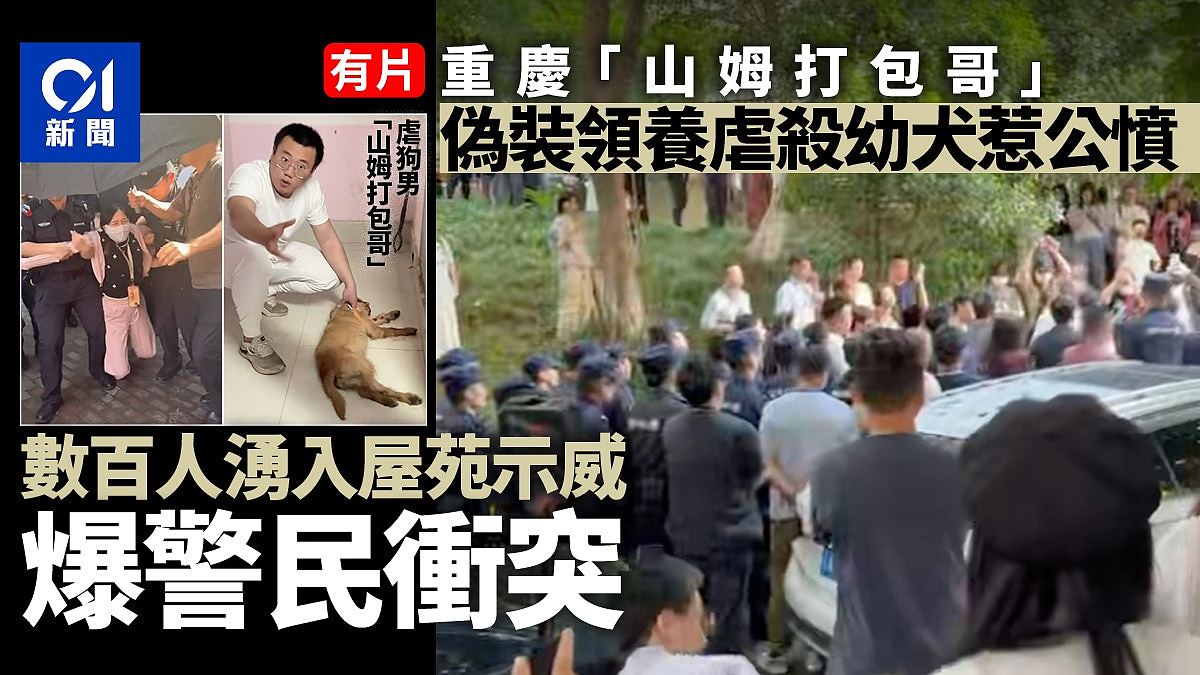 重庆山姆打包哥假领养虐杀幼犬,数百人示威爆发警民冲突(组图) - 1