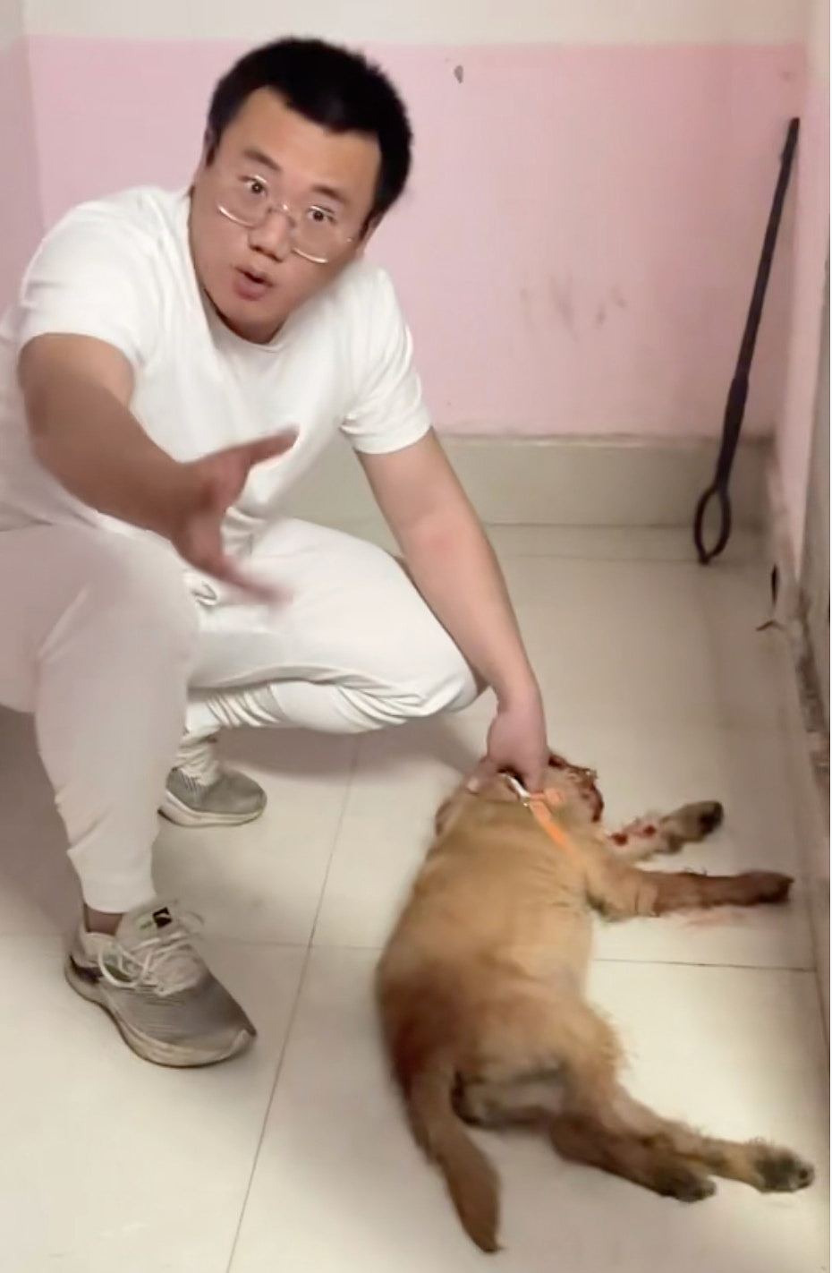重庆山姆打包哥假领养虐杀幼犬,数百人示威爆发警民冲突(组图) - 6