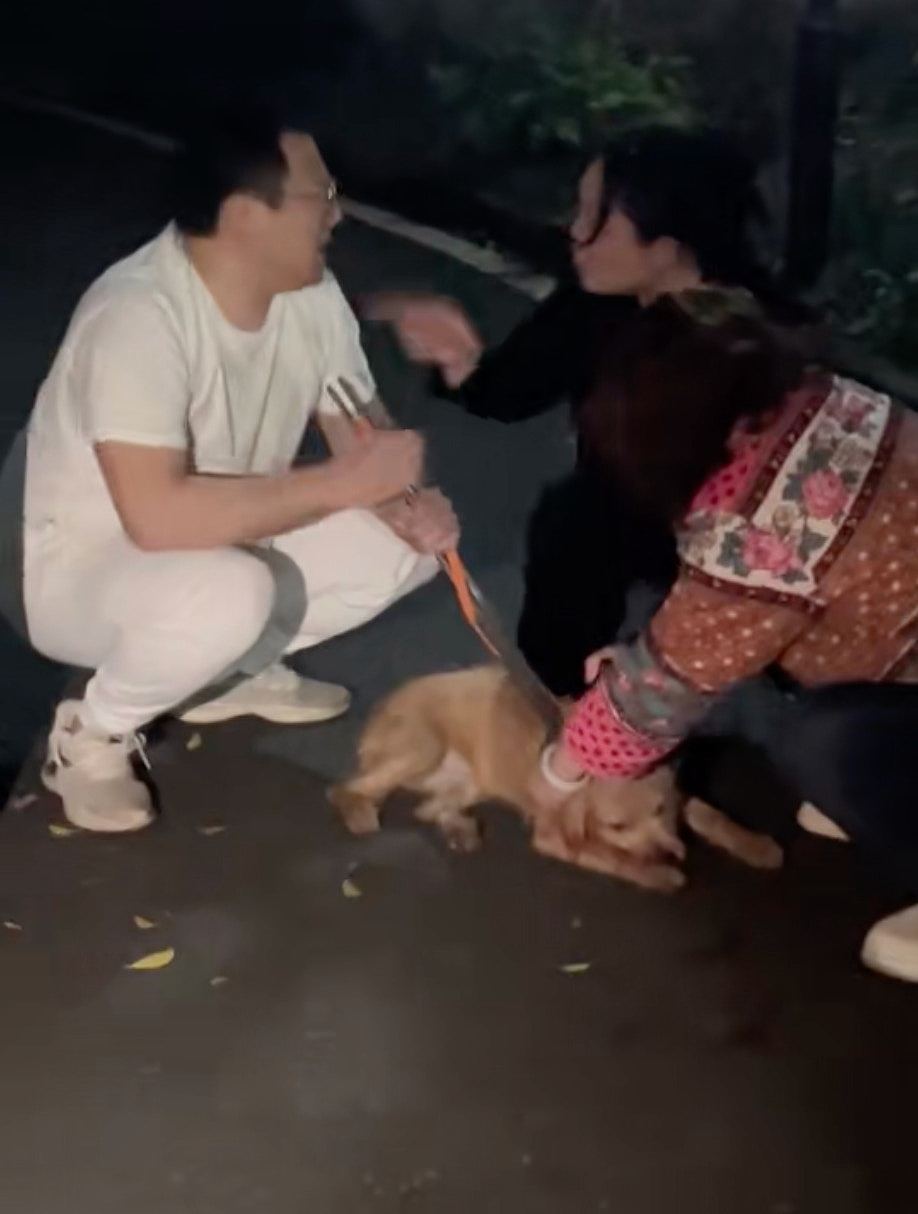 重庆山姆打包哥假领养虐杀幼犬,数百人示威爆发警民冲突(组图) - 7