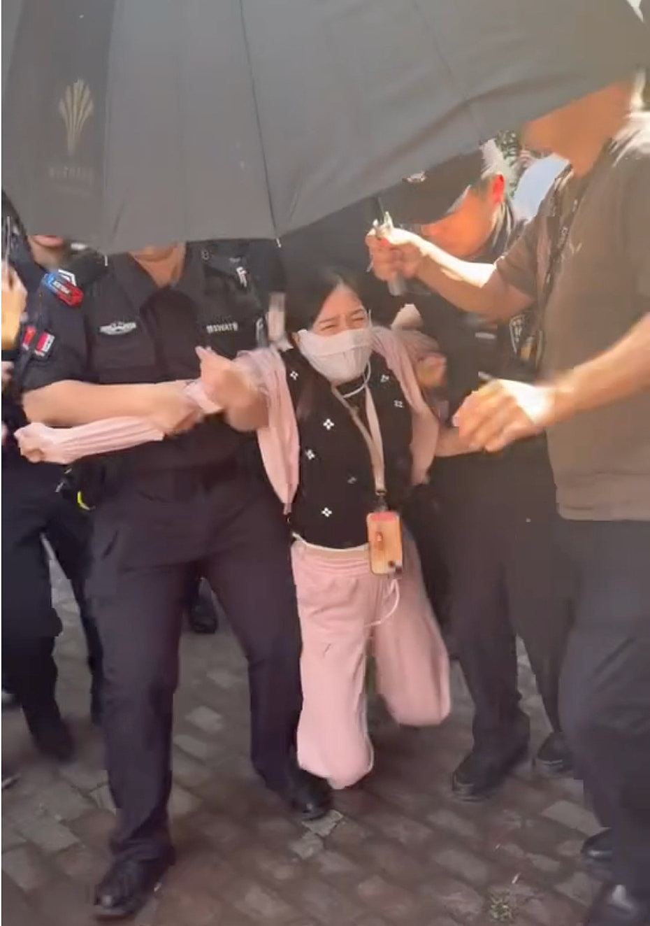 重庆山姆打包哥假领养虐杀幼犬,数百人示威爆发警民冲突(组图) - 17