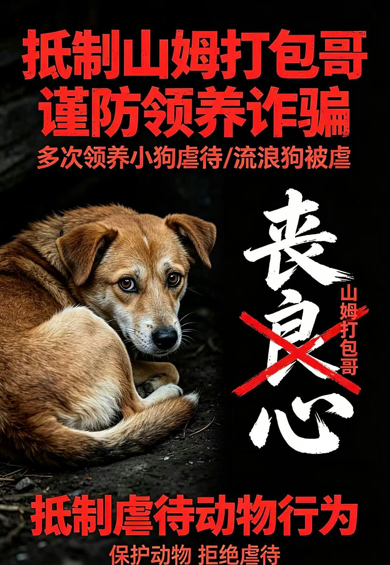 重庆山姆打包哥假领养虐杀幼犬,数百人示威爆发警民冲突(组图) - 20