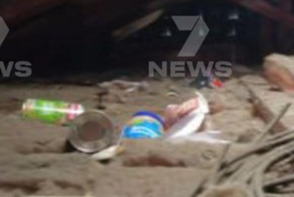 后怕!澳独居老奶奶家中怪声不断,竟发现天花板里住着一个男人(组图) - 1