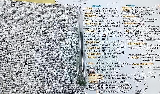 河南“零分女生”蒋多多:因不满高考制度,在试卷上写8000字长文(组图) - 3