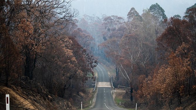 厄尔尼诺即将来袭,澳洲山火风险加剧,超四成居民仍无准备(组图) - 2