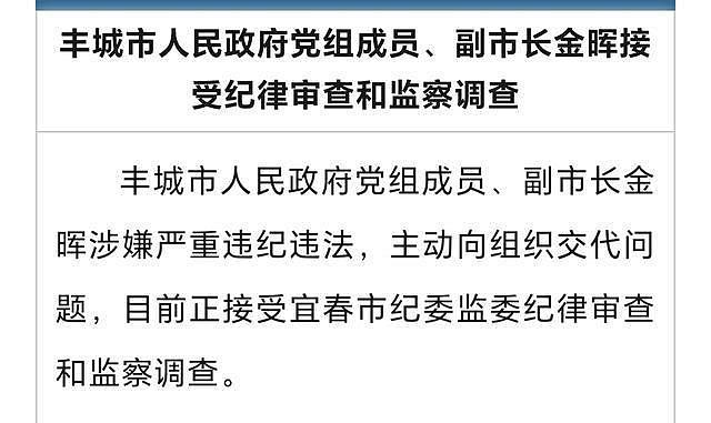 江西的“两面人”金晖被扒!两个月前还吹嘘自己,如今结局堪忧(组图) - 1