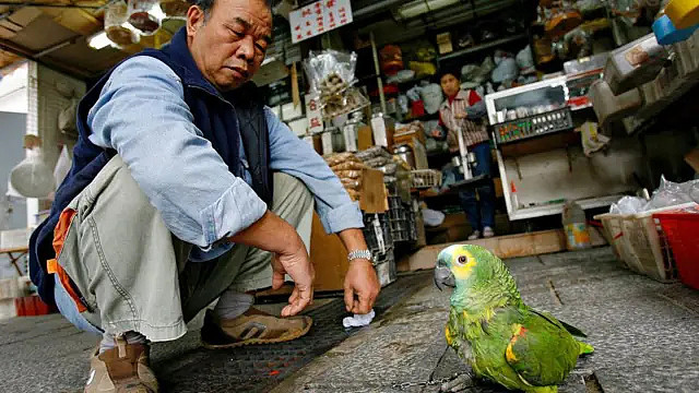 传说中的“亚洲蹲”,竟对我们的健康至关重要?(组图) - 1