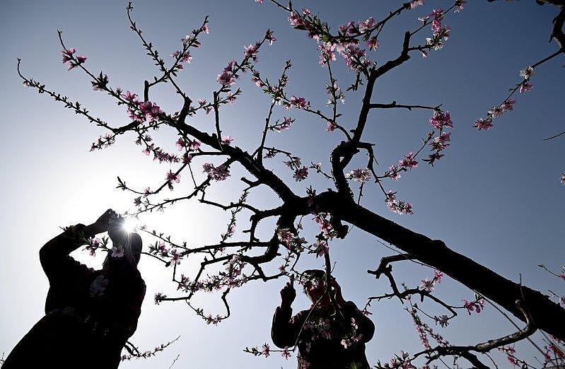 介绍媳妇奖励1000元！河南村支书“脱单悬赏”为光棍征婚（组图） - 10