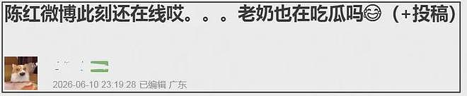 迪丽热巴陈飞宇绯闻持续升温,母亲陈红疑在线吃瓜,多次点赞女方(组图) - 12